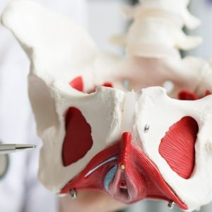 Evidence based fyzioterapie u chronické pánevní bolesti a dysfunkce pánevního dna